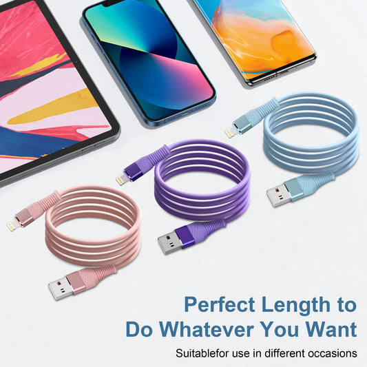 10FT USB-A Lightning Charging Cable for iPhone