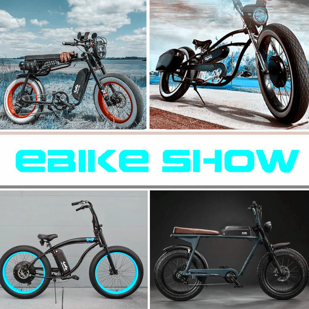 21700 DownTube Ebike Battery Hailong