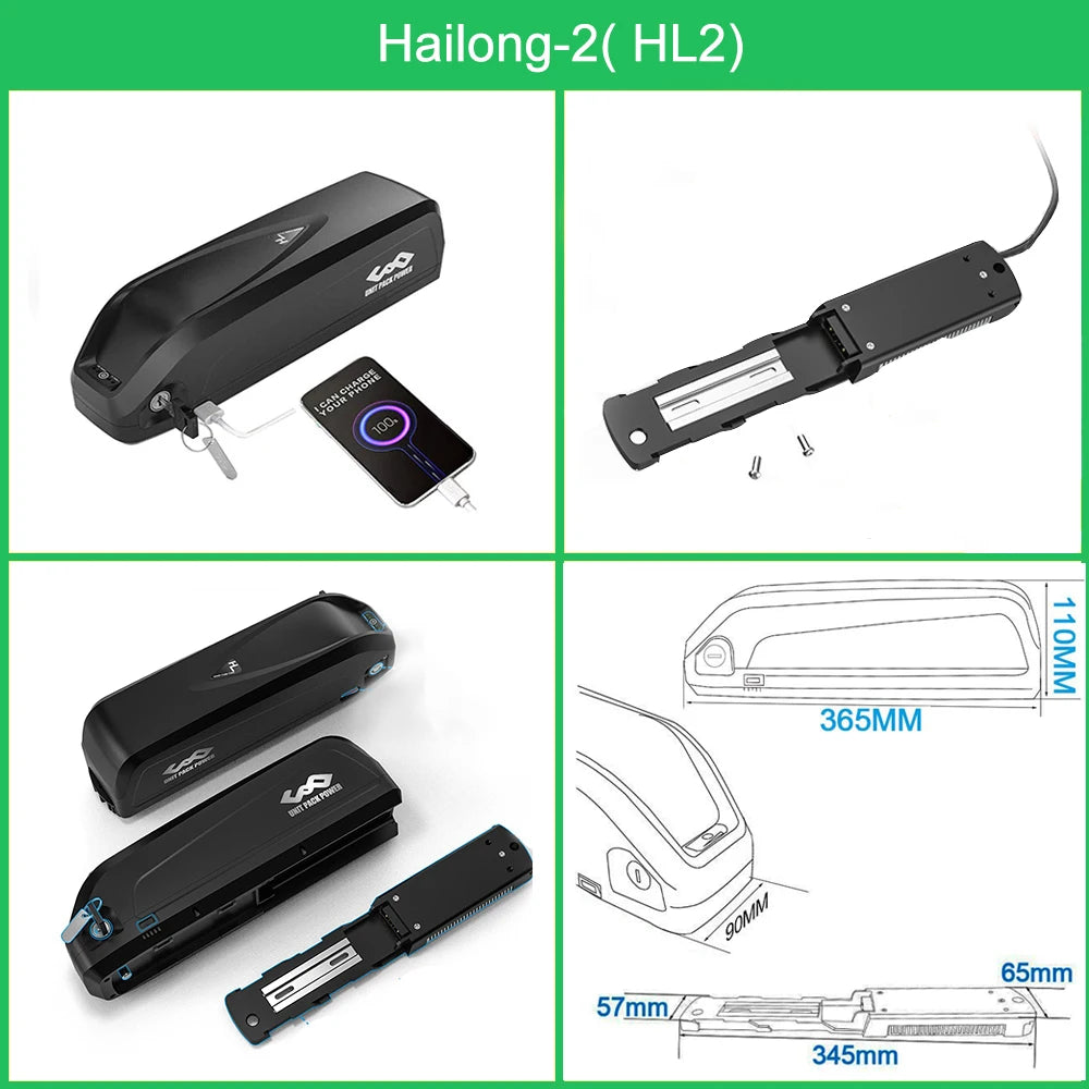 21700 DownTube Ebike Battery Hailong