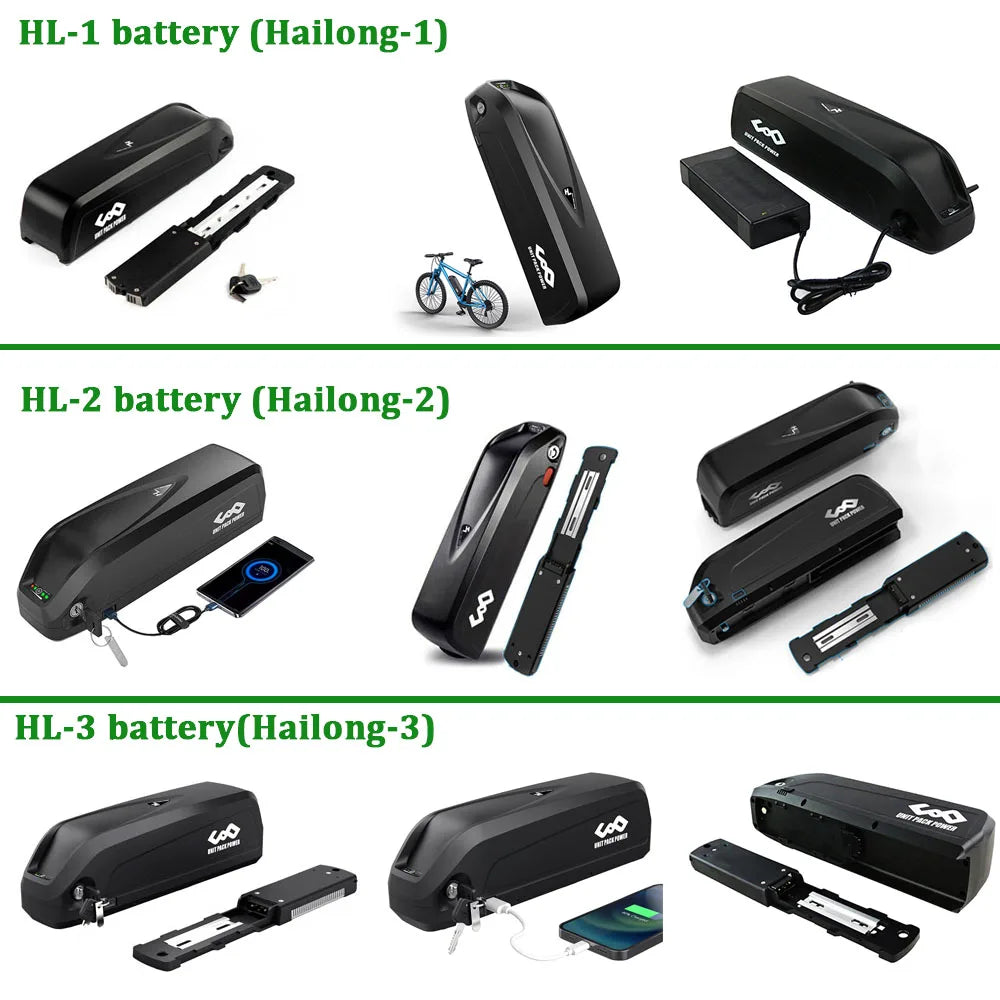 21700 DownTube Ebike Battery Hailong