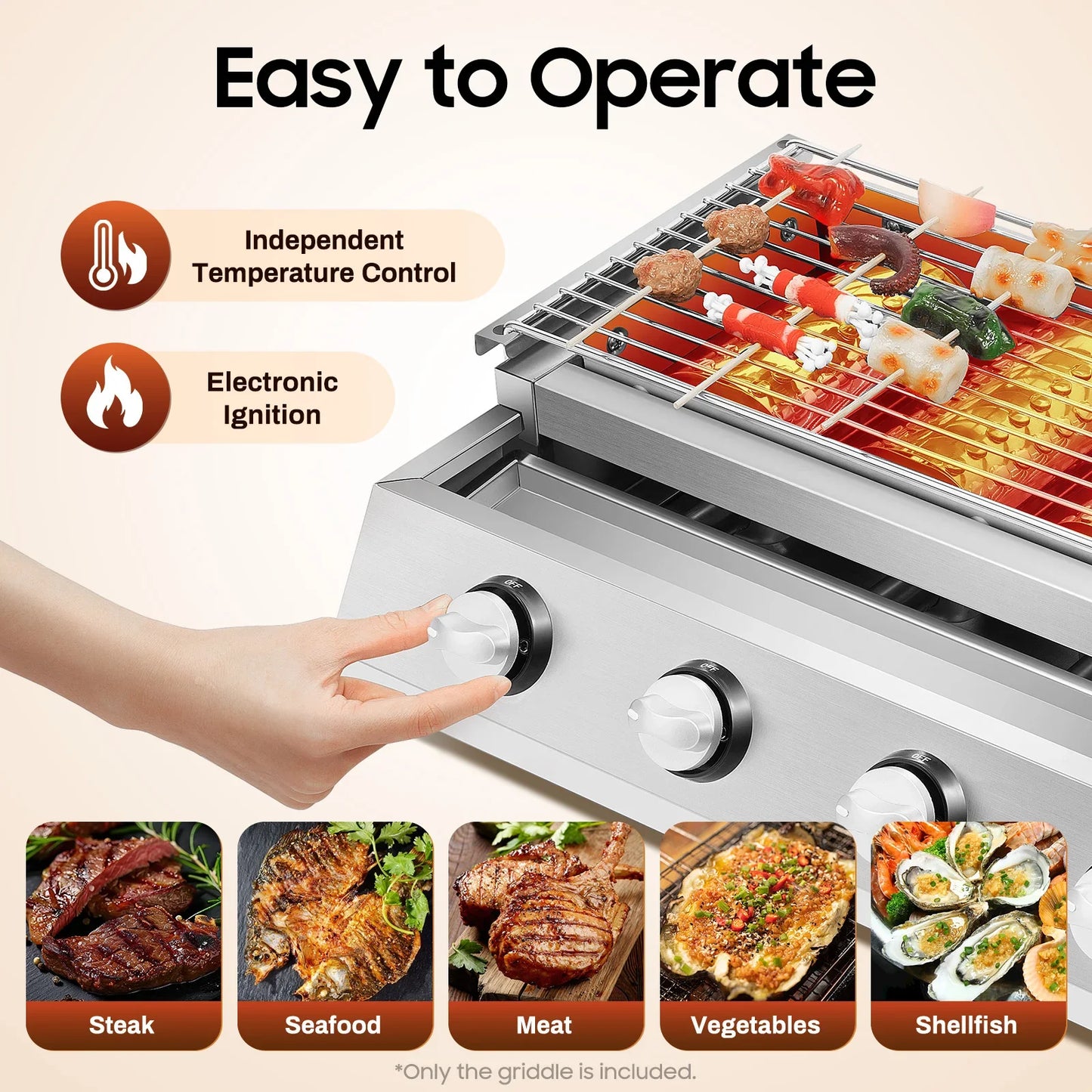 BBQ Gas Grill for Camping